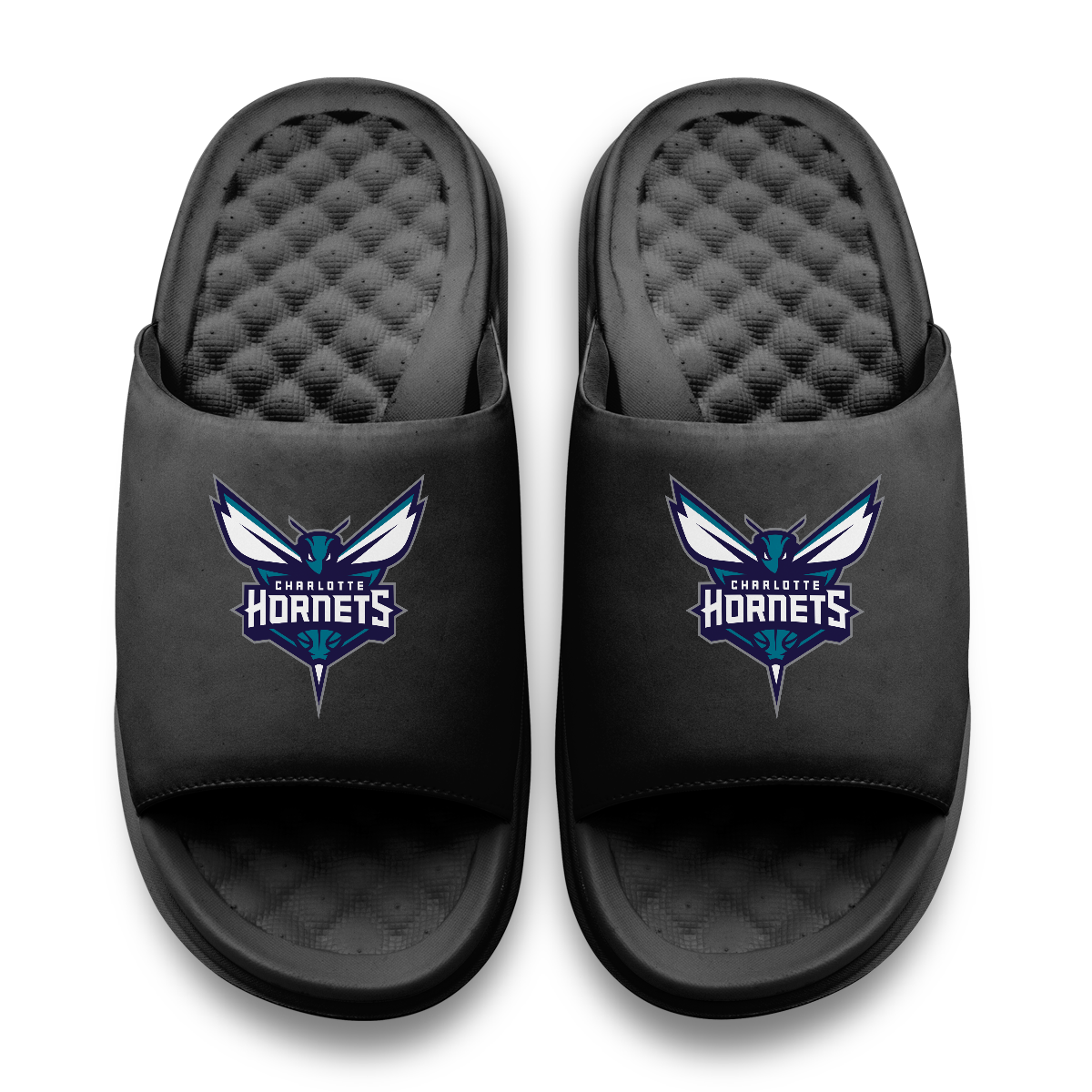 Charlotte Hornets Primary Motive