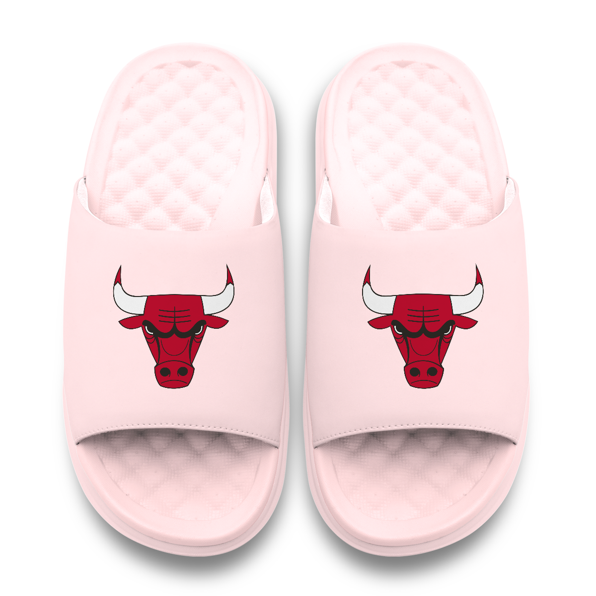 Chicago Bulls Primary Motive