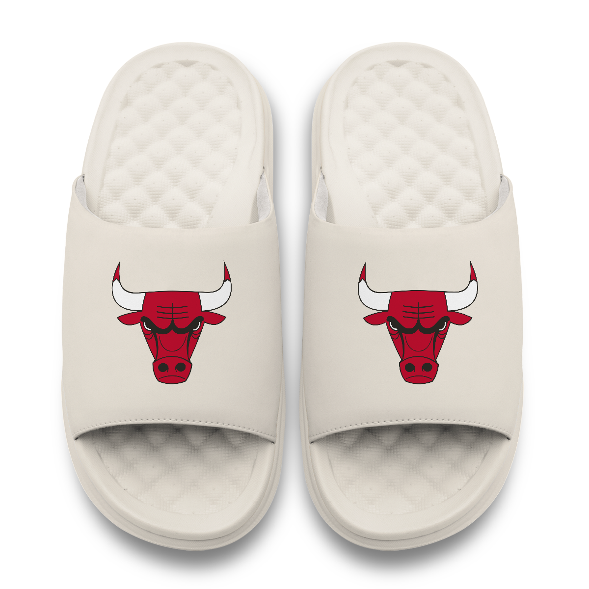 Chicago Bulls Primary Motive