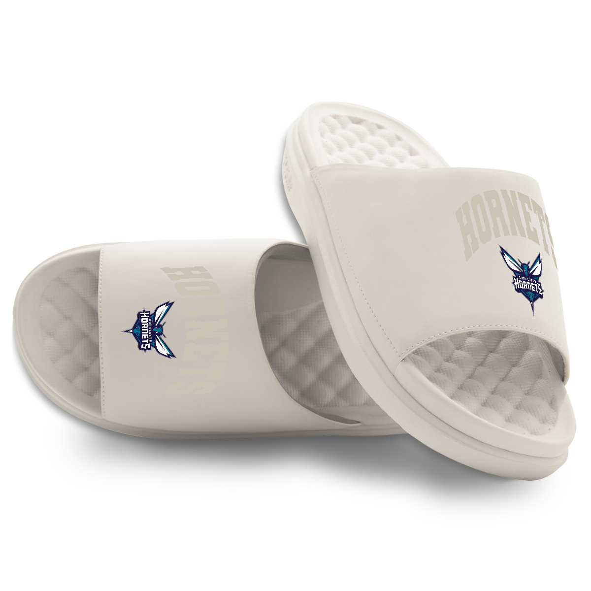 Charlotte Hornets Tonal Pop Motive