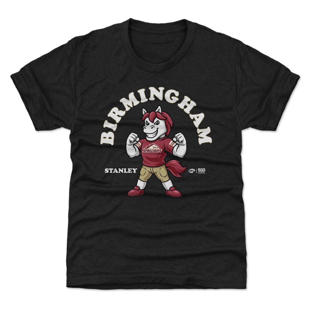 Birmingham Stallions Kids T-Shirt | 500 LEVEL