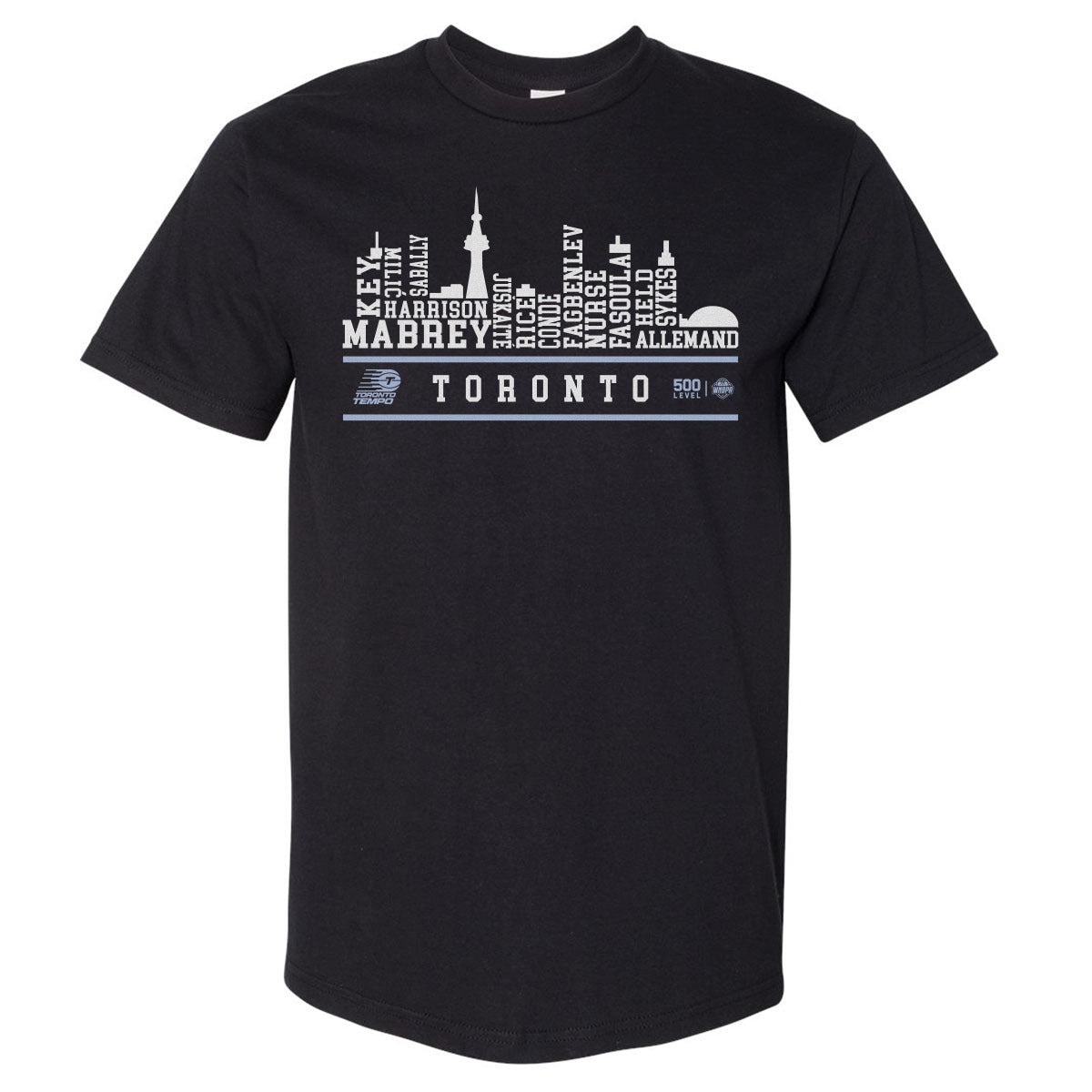 Toronto Tempo Men's Heavyweight T-Shirt | 500 LEVEL