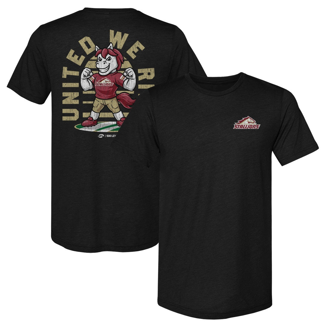 Birmingham Stallions Men's Premium T-Shirt | 500 LEVEL