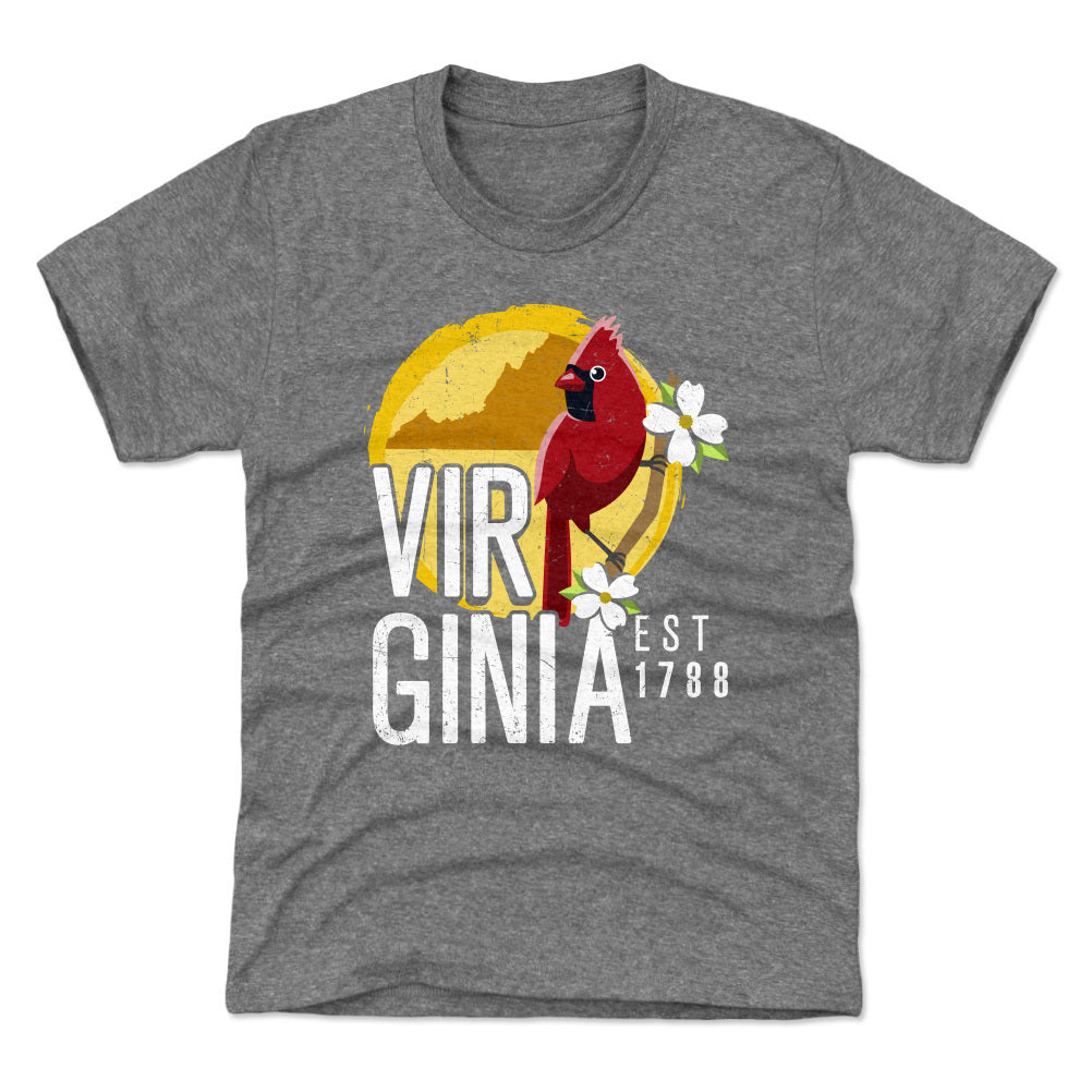 Virginia Kids T-Shirt | 500 LEVEL