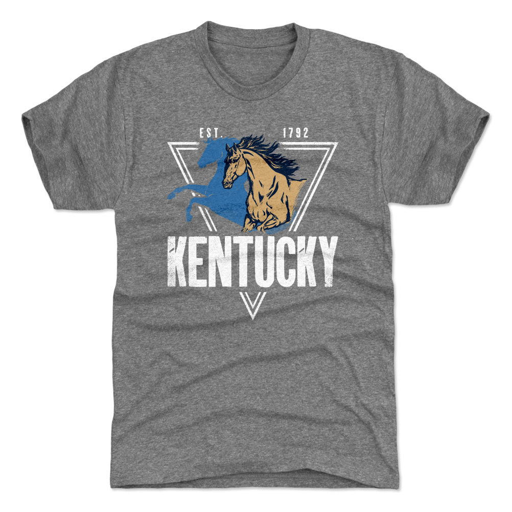 Kentucky Men's Premium T-Shirt | 500 LEVEL
