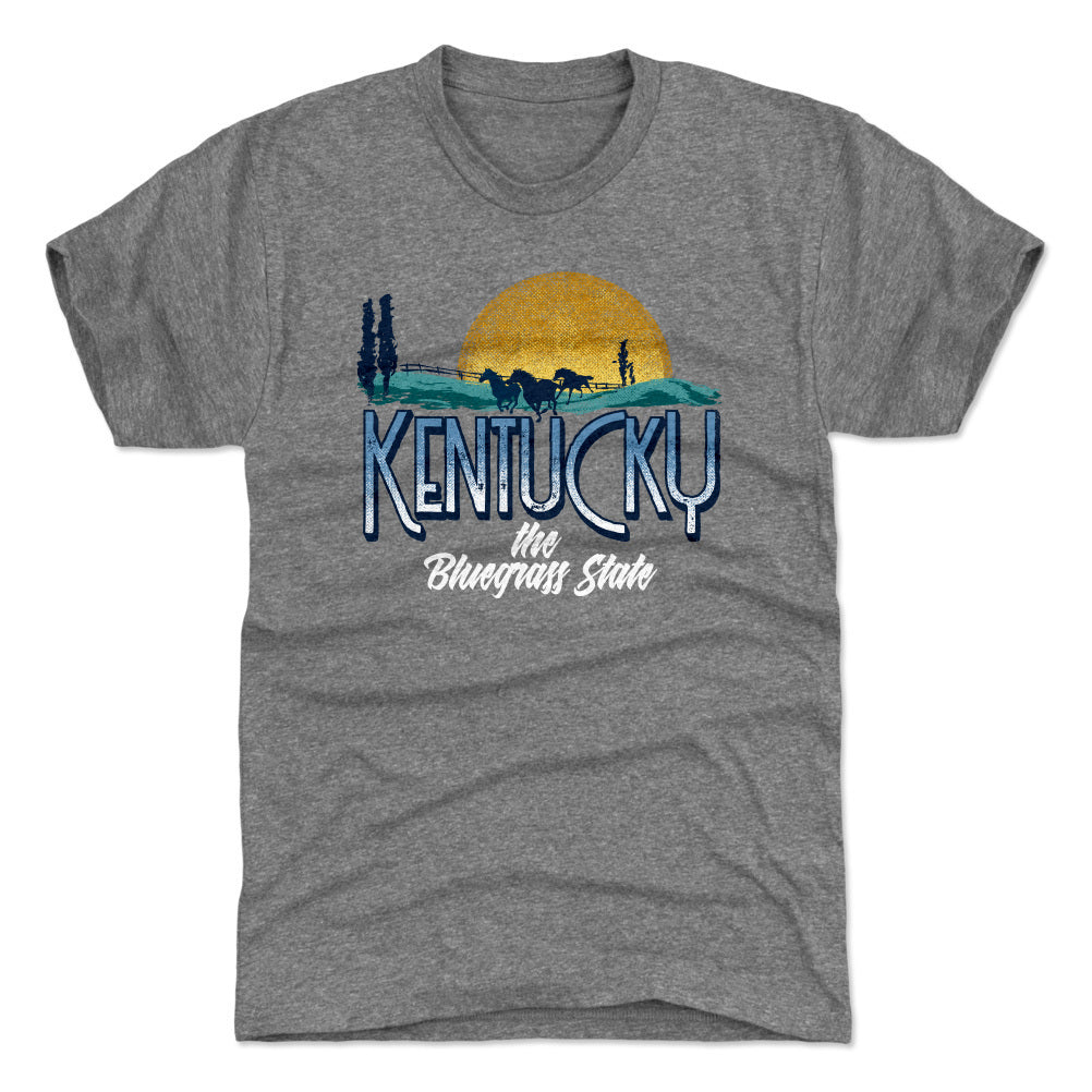 Kentucky Men's Premium T-Shirt | 500 LEVEL