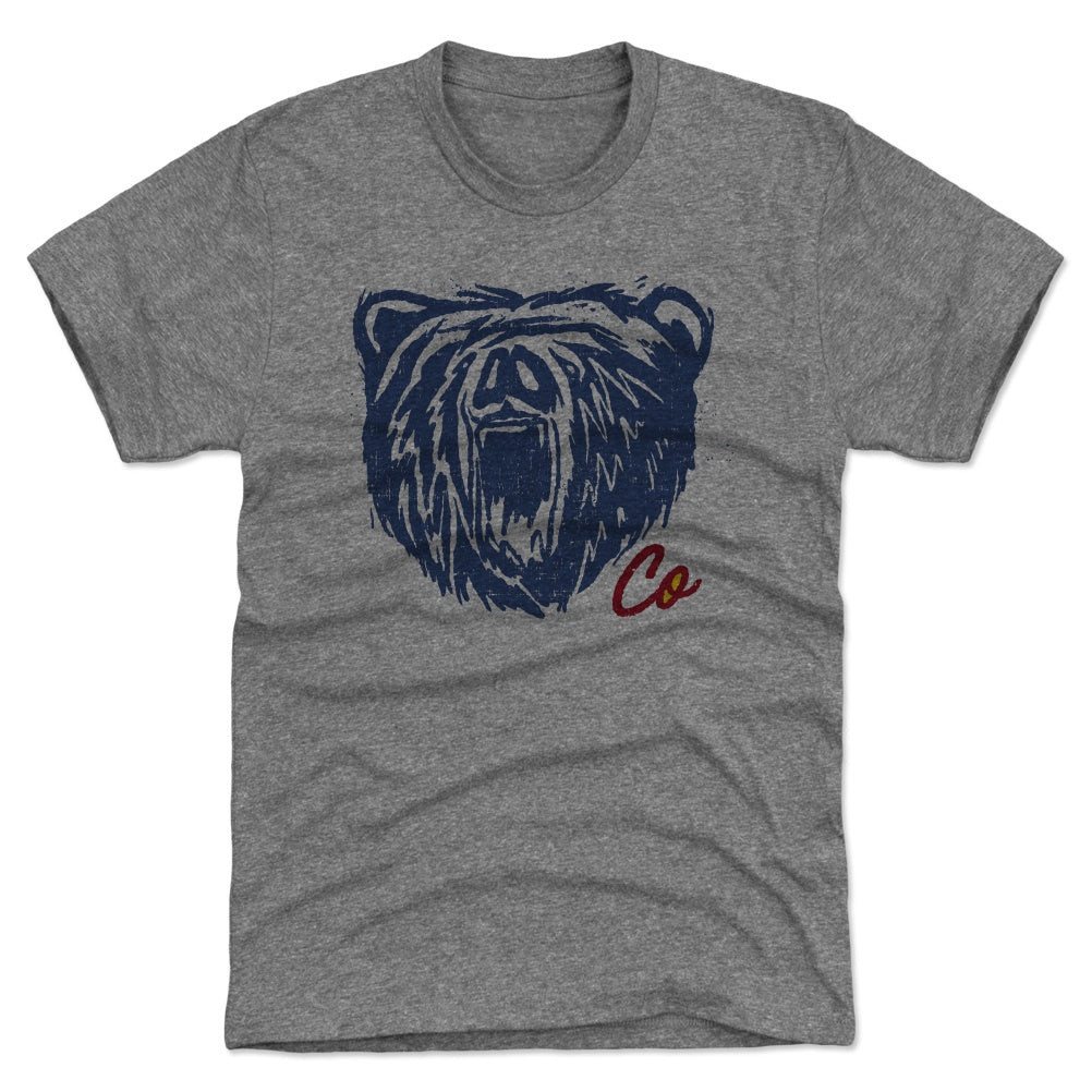 Colorado Men's Premium T-Shirt | 500 LEVEL