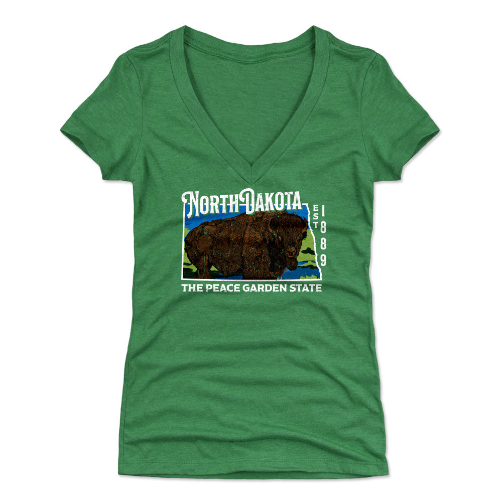 North Carolina Women's V-Neck T-Shirt | 500 LEVEL