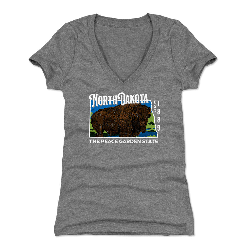 North Carolina Women's V-Neck T-Shirt | 500 LEVEL