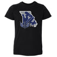 St. Louis Battlehawks Kids Toddler T-Shirt | 500 LEVEL