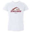 Birmingham Stallions Kids Toddler T-Shirt | 500 LEVEL