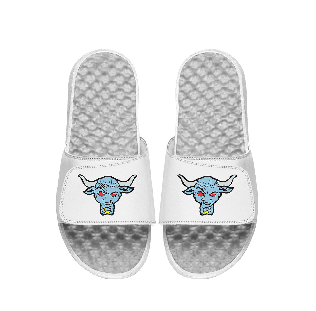 The Rock Bull Slides