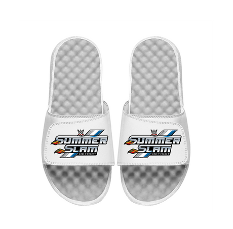 WWE Summer Slam Slides