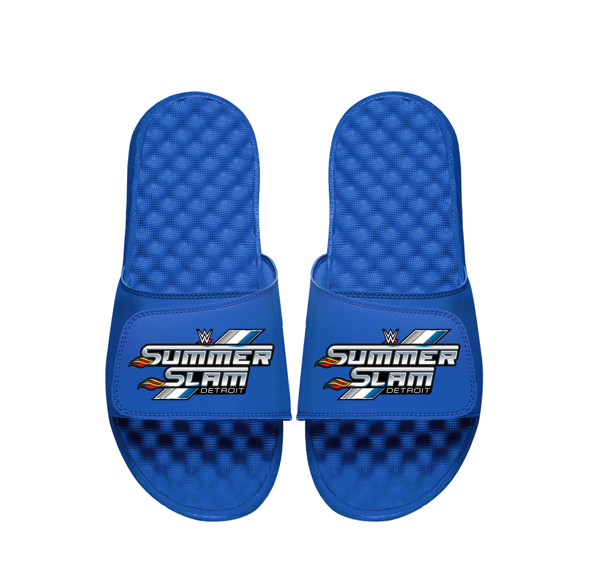 WWE Summer Slam Slides