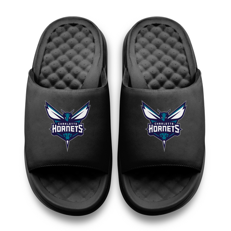 Charlotte Hornets Primary Motive