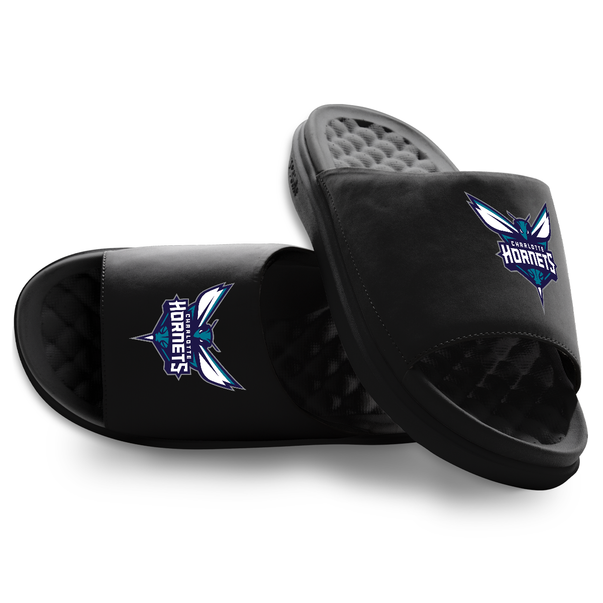 Charlotte Hornets Primary Motive