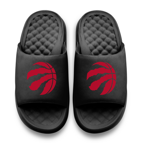 Toronto Raptors Primary Motive