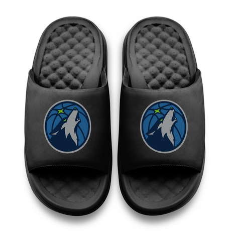 Minnesota Timberwolves Primary Motive