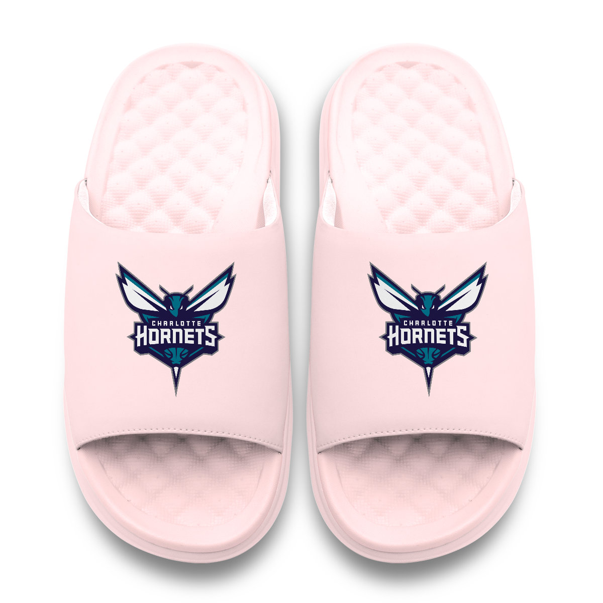 Charlotte Hornets Primary Motive