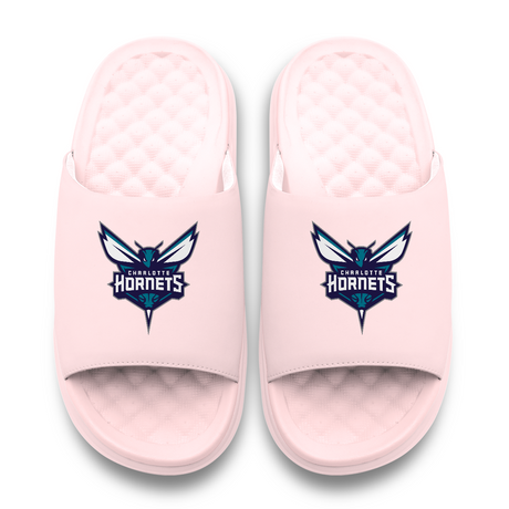 Charlotte Hornets Primary Motive