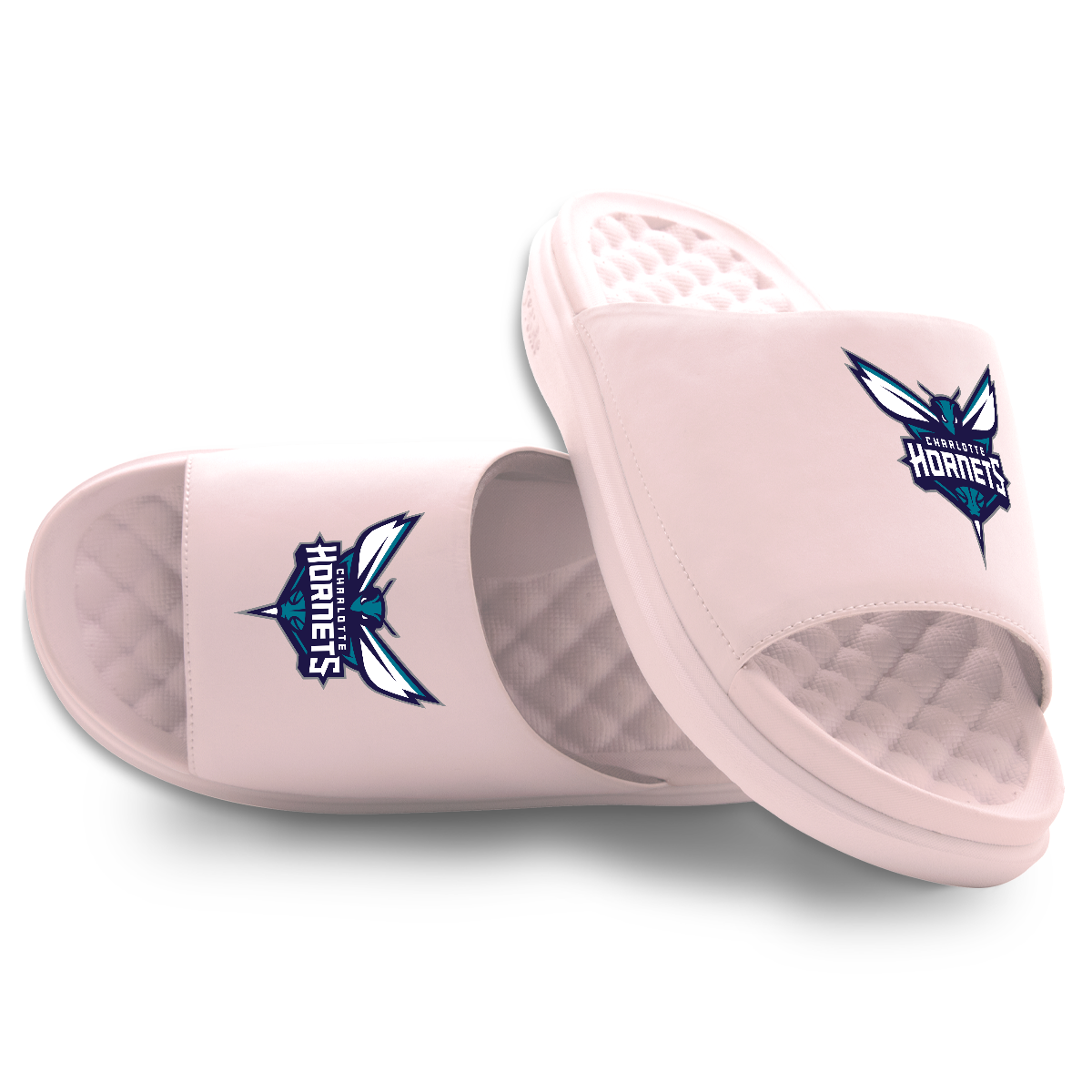 Charlotte Hornets Primary Motive