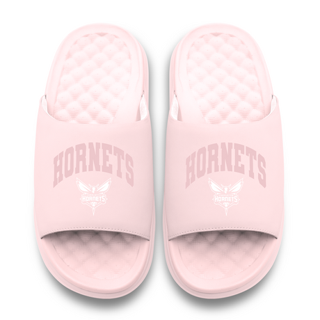 Charlotte Hornets Tonal Pop Motive