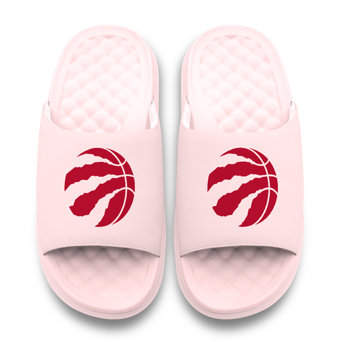 Toronto Raptors Primary Motive