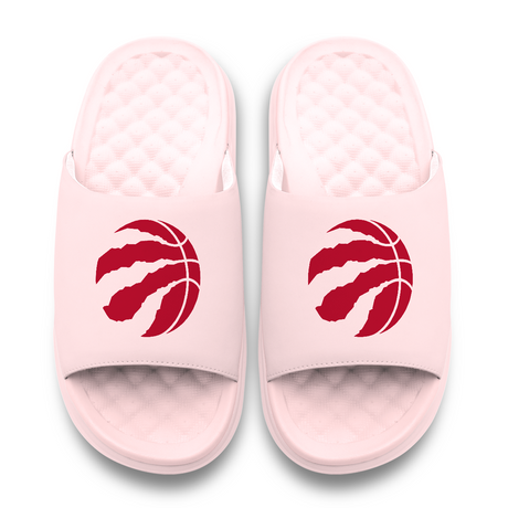 Toronto Raptors Primary Motive