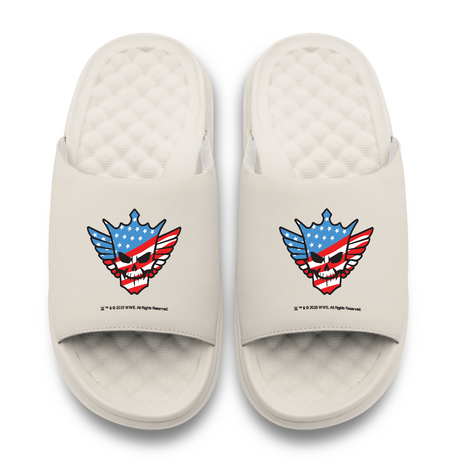 Cody Rhodes American Skull Motive