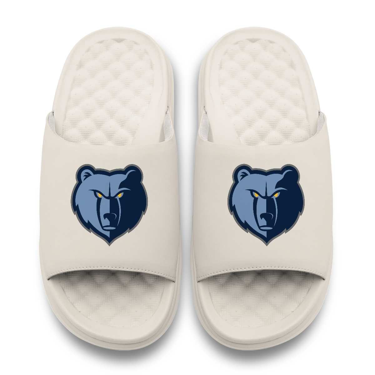 Memphis Grizzlies Primary Motive
