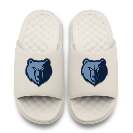 Memphis Grizzlies Primary Motive