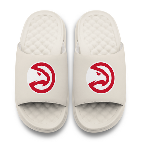 Atlanta Hawks Primary Motive