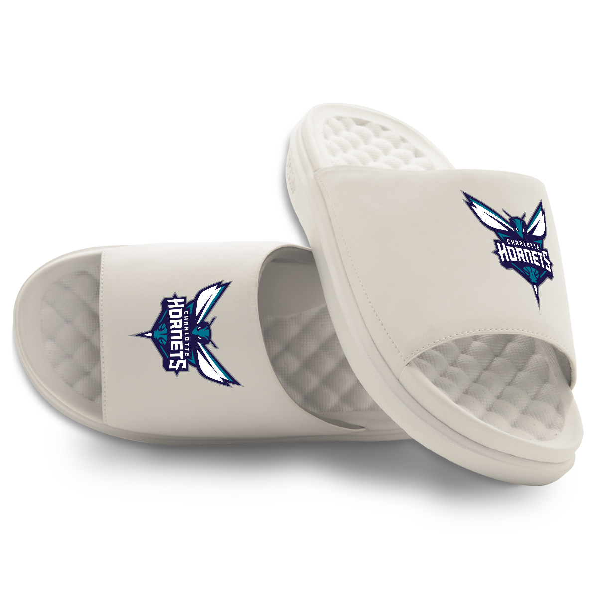 Charlotte Hornets Primary Motive