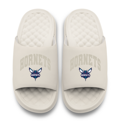 Charlotte Hornets Tonal Pop Motive