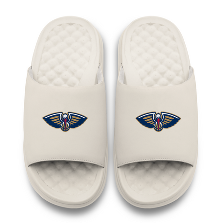 New Orleans Pelicans Primary Motive