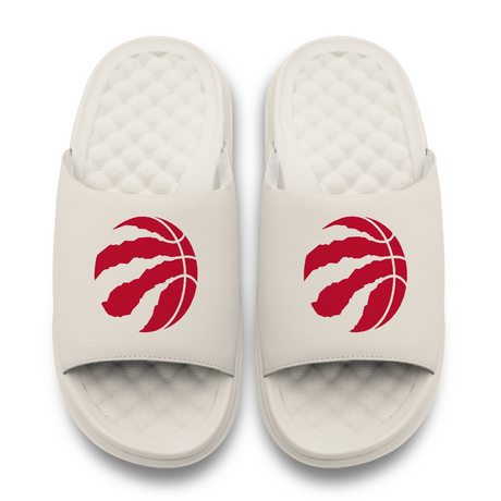 Toronto Raptors Primary Motive