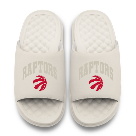 Toronto Raptors Tonal Pop Motive