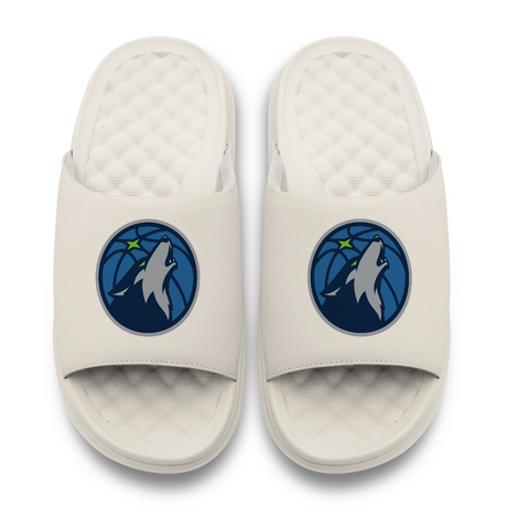 Minnesota Timberwolves Primary Motive