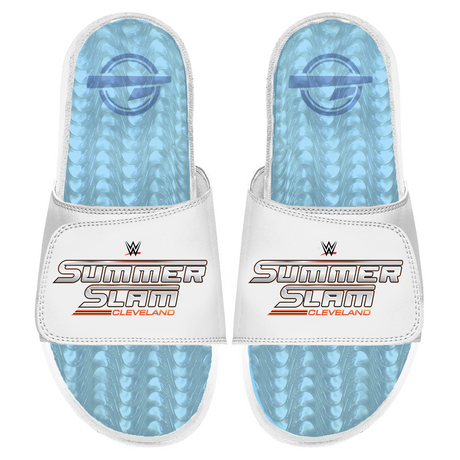 WWE 2024 Summer Slam