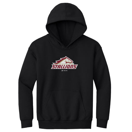 Birmingham Stallions Kids Youth Hoodie | 500 LEVEL
