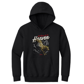 PBR Kids Youth Hoodie | 500 LEVEL