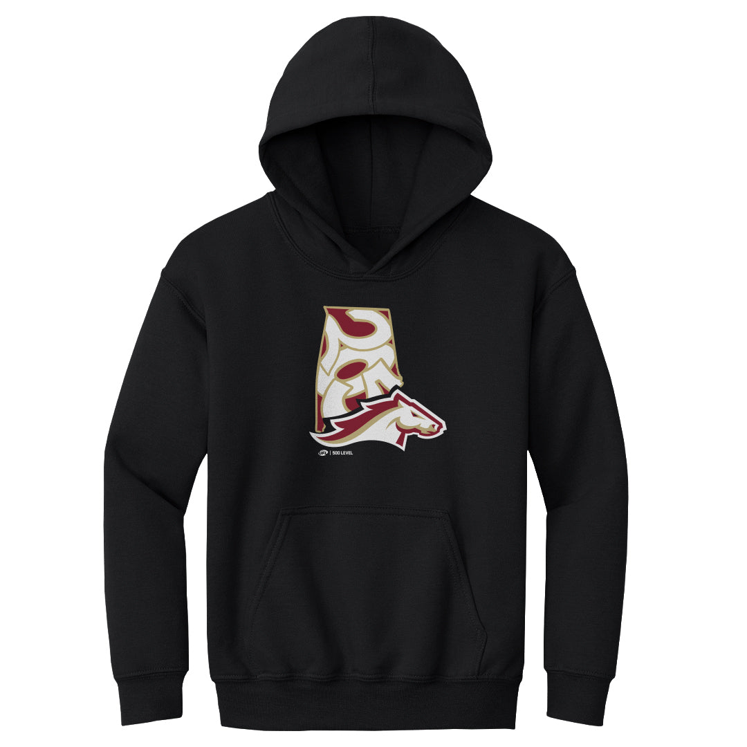 Birmingham Stallions Kids Youth Hoodie | 500 LEVEL