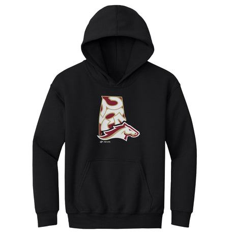 Birmingham Stallions Kids Youth Hoodie | 500 LEVEL