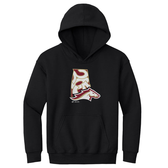 Birmingham Stallions Kids Youth Hoodie | 500 LEVEL