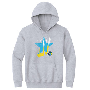 New York Cosmos Kids Youth Hoodie | 500 LEVEL