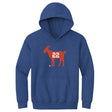 Florida Kids Youth Hoodie | 500 LEVEL