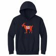 Illinois Kids Youth Hoodie | 500 LEVEL