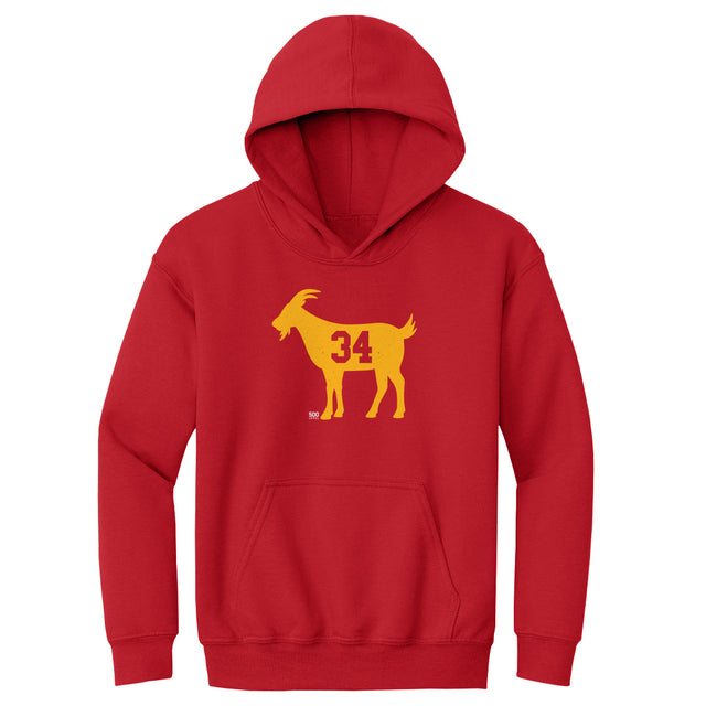 Houston Kids Youth Hoodie | 500 LEVEL