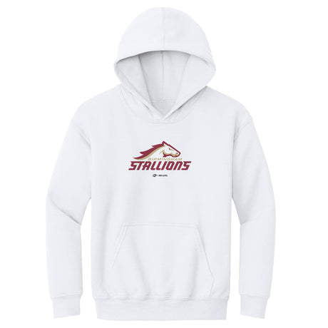 Birmingham Stallions Kids Youth Hoodie | 500 LEVEL