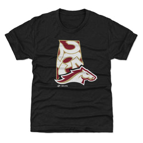 Birmingham Stallions Kids T-Shirt | 500 LEVEL
